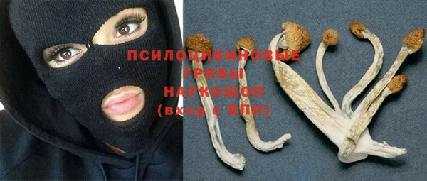 прущие крисы Барнаул