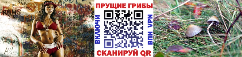 Купить закладки  Агидель  Псилоцибиновые грибы Magic Shrooms 
